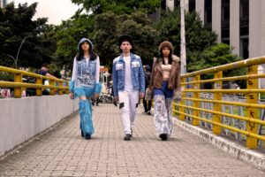Stylish clothing collection